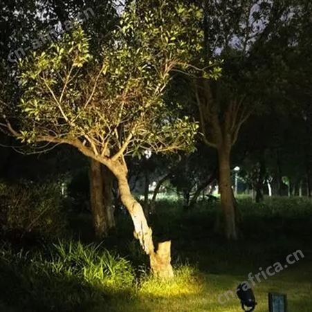 树照灯 景区聚光灯 圆形 树外墙灯 户外照明灯具定制