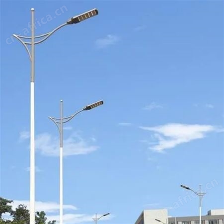 小区景观灯 城市道路景区照明灯 广场大型装饰led路灯