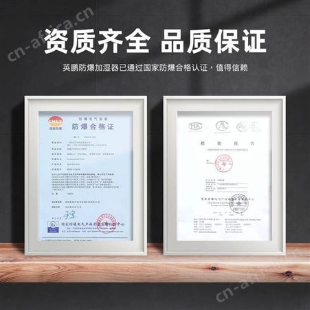 百奥湿美英鹏防爆加湿器工业型超声波喷雾车间雾化6kg/h BAF-03YP6