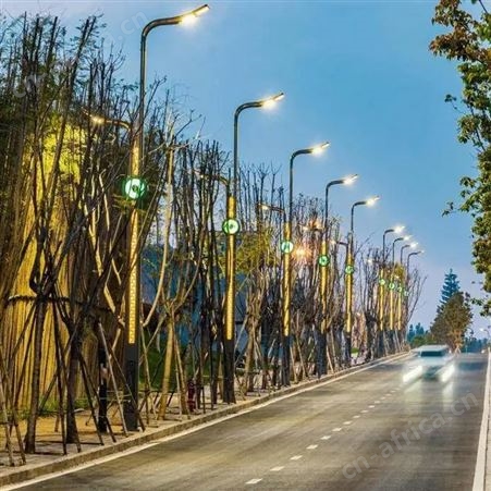 庭院景观灯 花园小区城市 特色路灯 LED仿古灯 定制加工 规格齐全