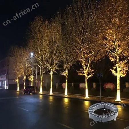庭院景观灯 6米LED 小区花园 户外照明灯 环保节能 支持定制