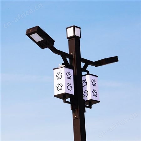 小区景观灯 城市道路景区照明灯 广场大型装饰led路灯
