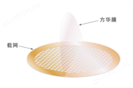TN-C0103无碳芳华支持膜