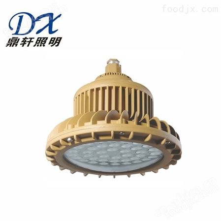 BDE53BDE53LED免维护防爆泛光灯50W油轮防爆灯