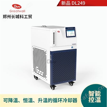 DL 249实验用循环冷却器厂家