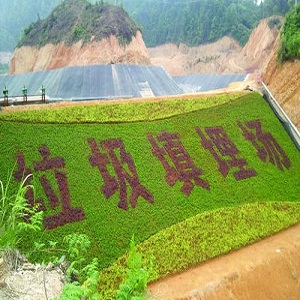 防渗膜自建鱼池(防渗膜鱼池建造指南)